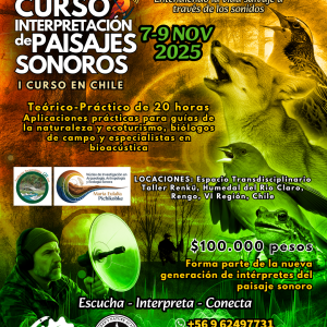 CURSO INTERPRETACIÓN DE PAISAJES SONOROS